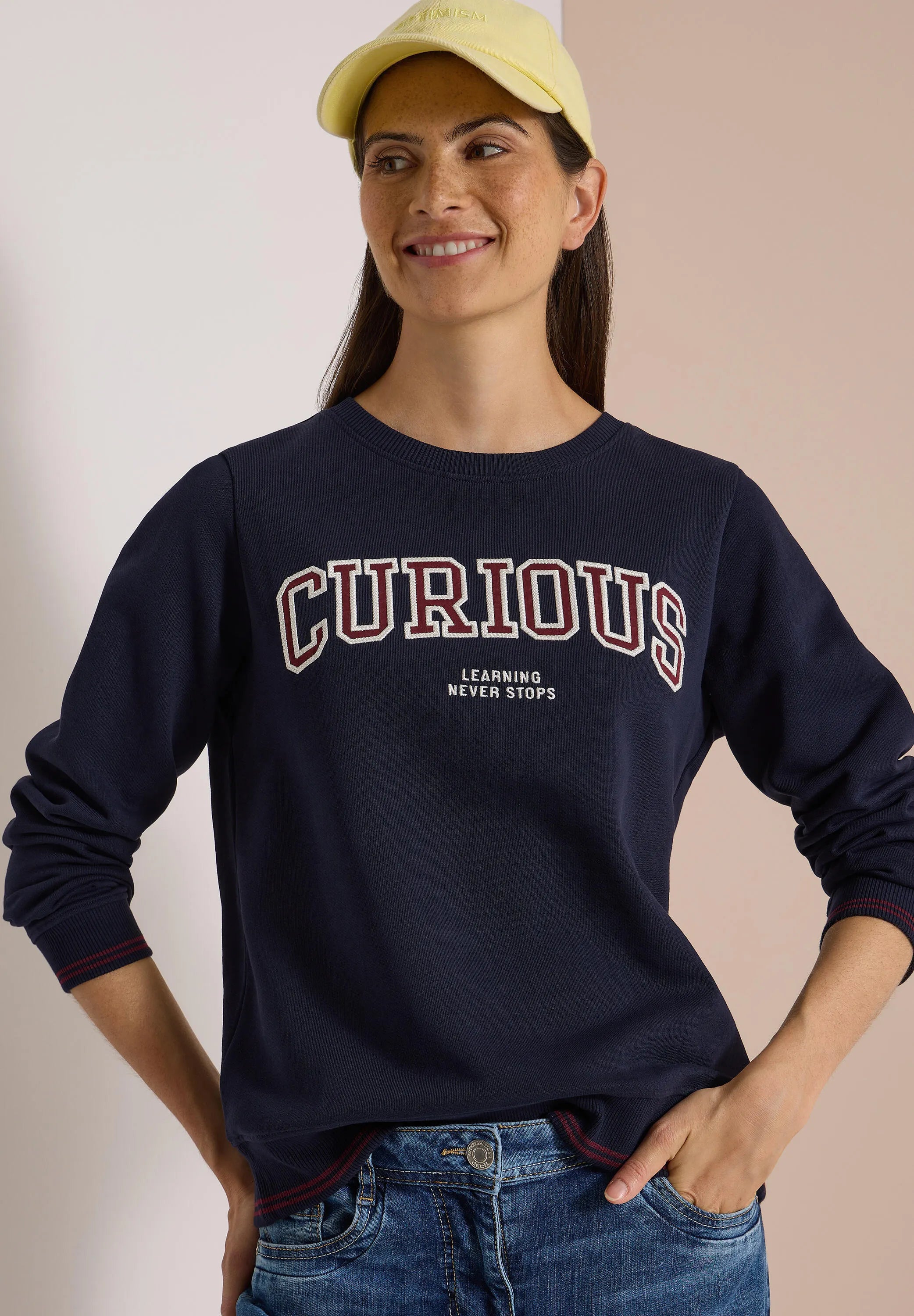 Sweatshirt mit Stickerei
