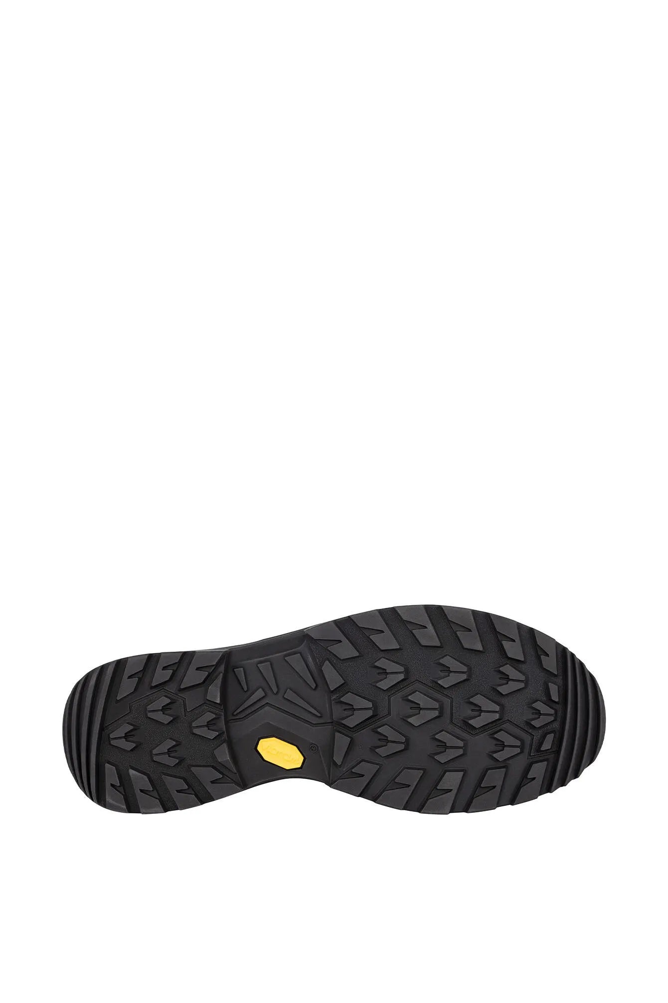 Wanderschuh RENEGADE EVO GTX Mid