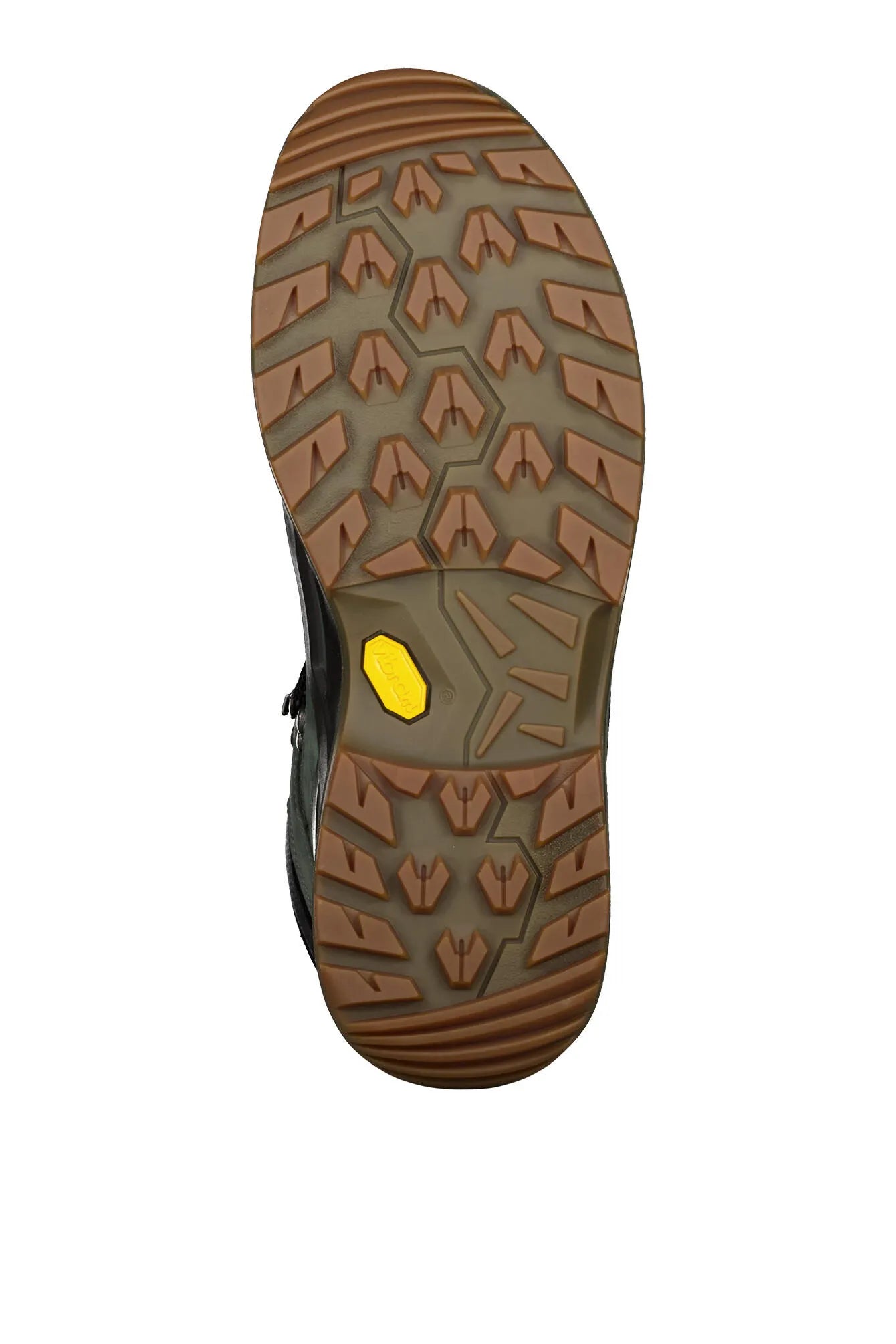 Wanderschuh RENEGADE EVO GTX Mid