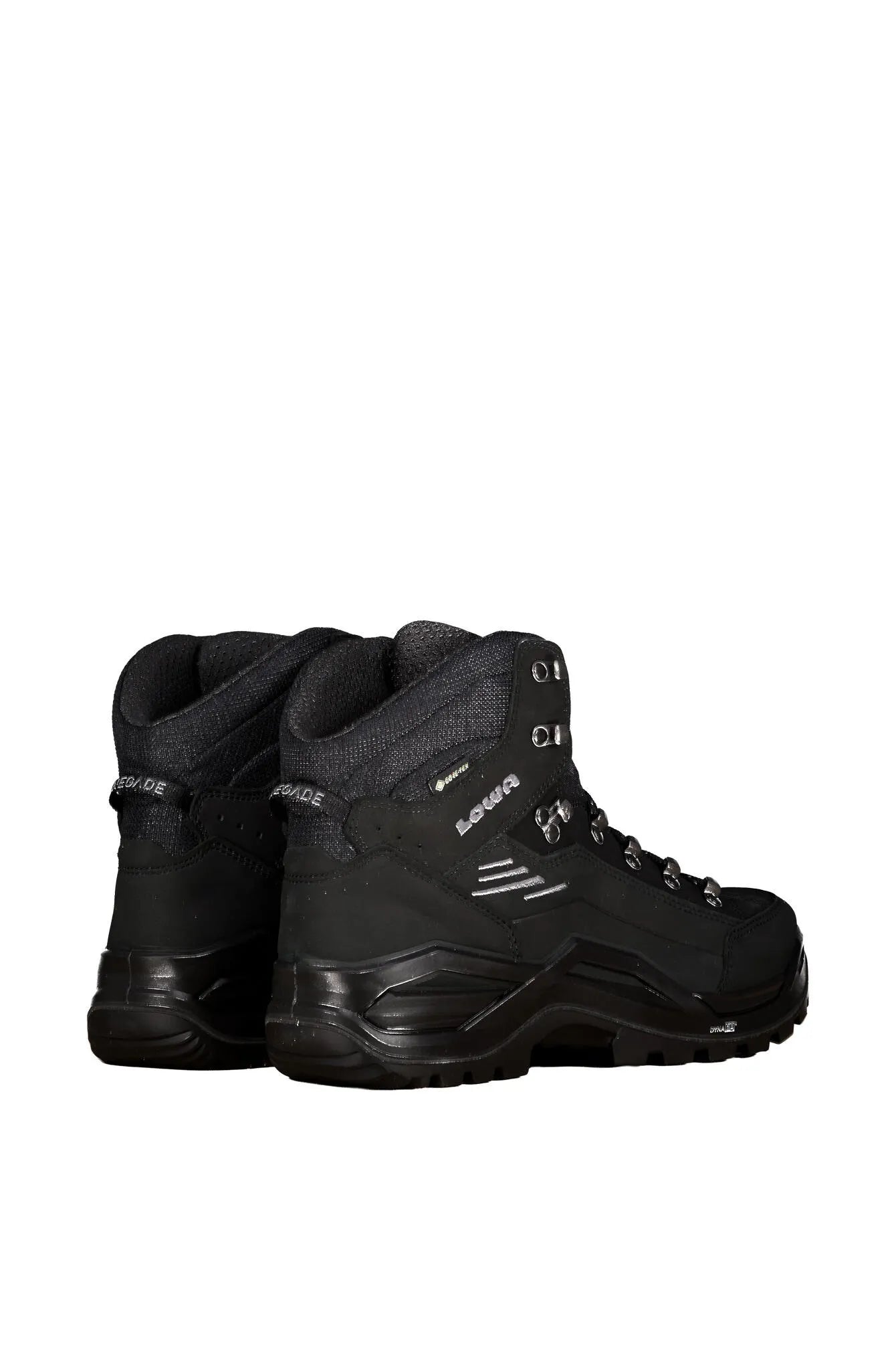 Wanderschuhe RENEGADE EVO GTX MID