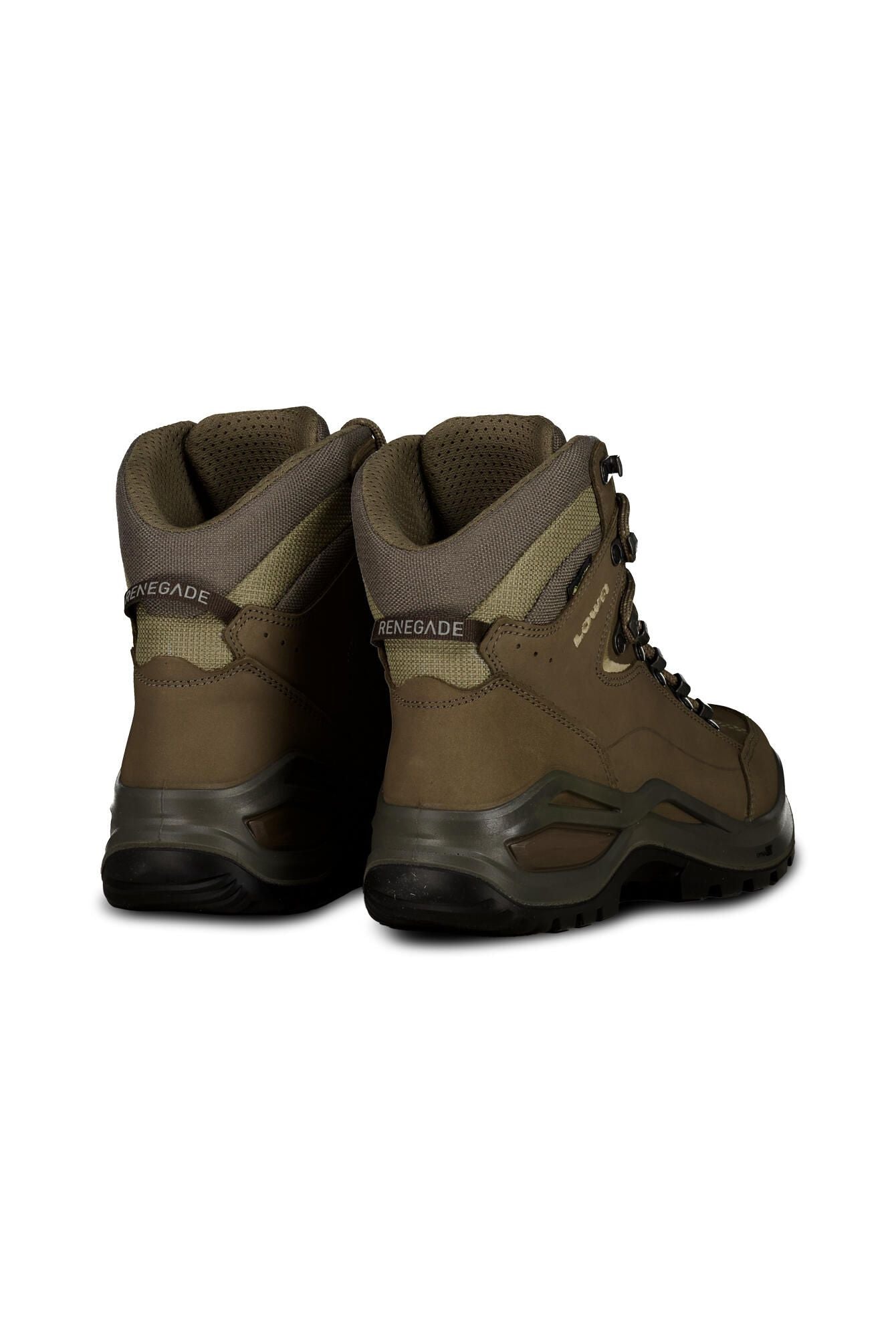Wanderschuhe Renegade Evo GTX Mid