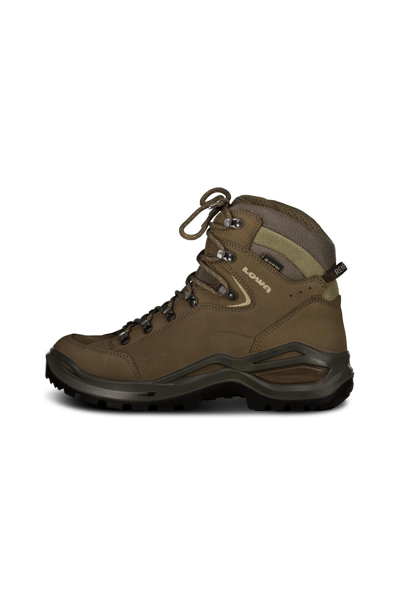 Wanderschuhe Renegade Evo GTX Mid
