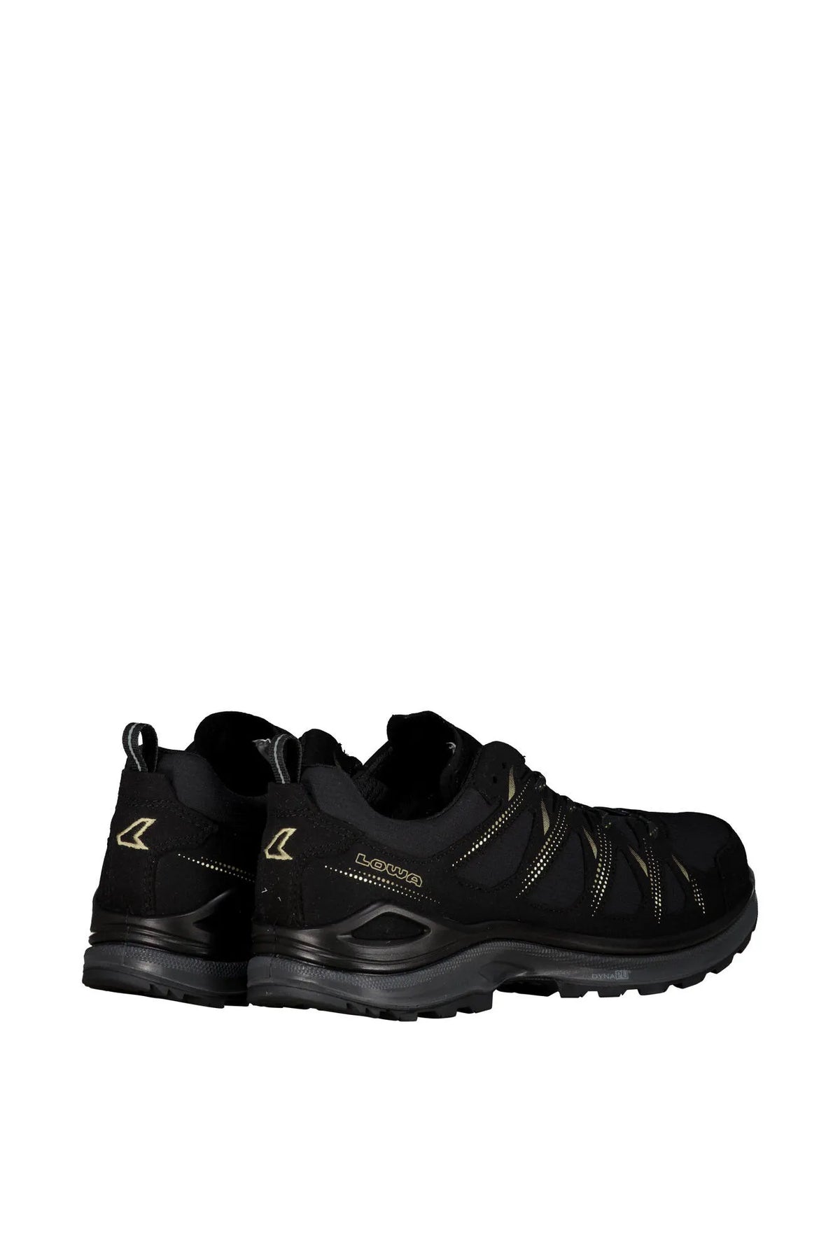 Wanderschuhe INNOX EVO II GTX
