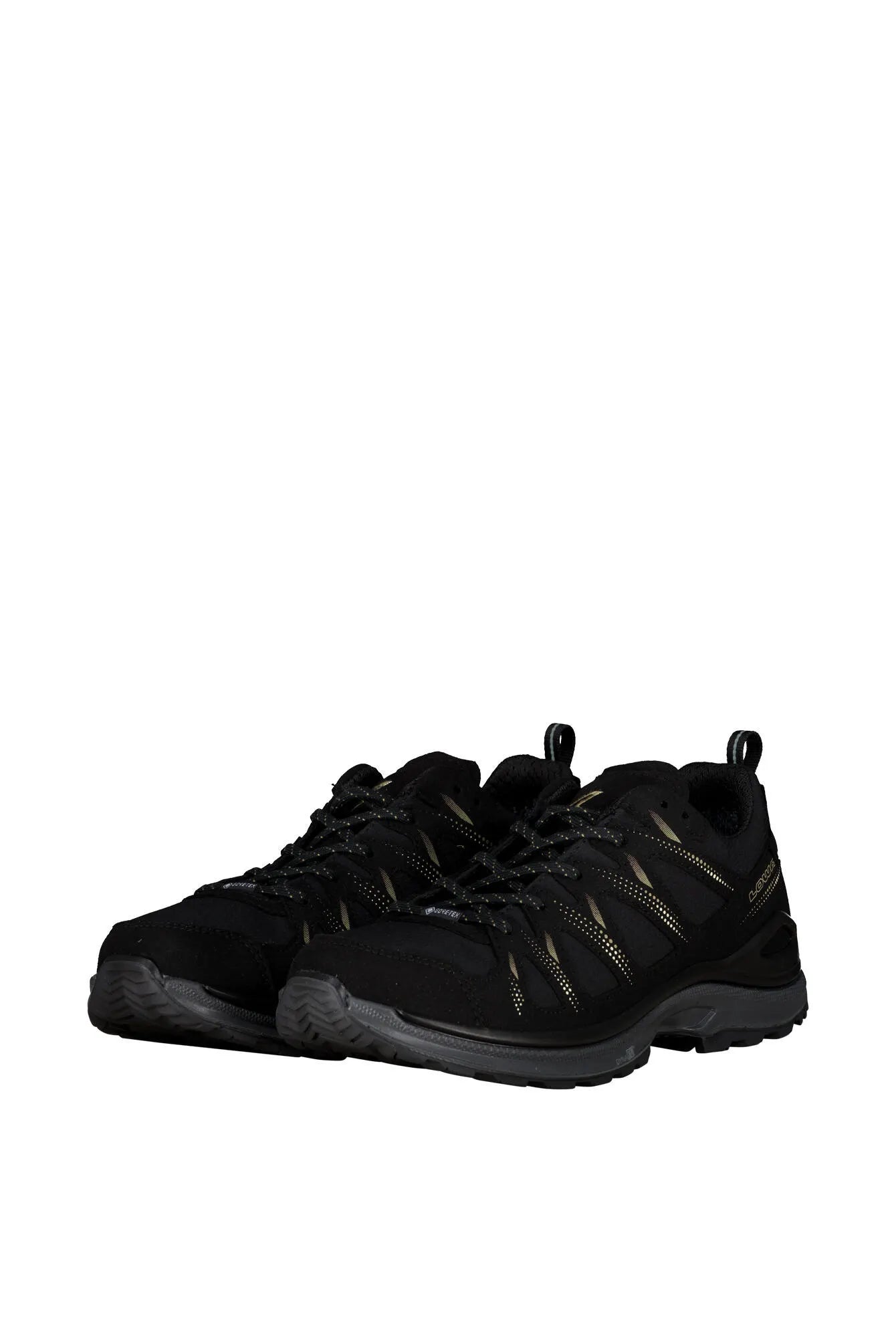 Wanderschuhe INNOX EVO II GTX