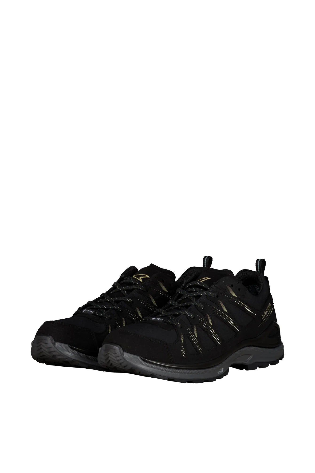Wanderschuhe INNOX EVO II GTX