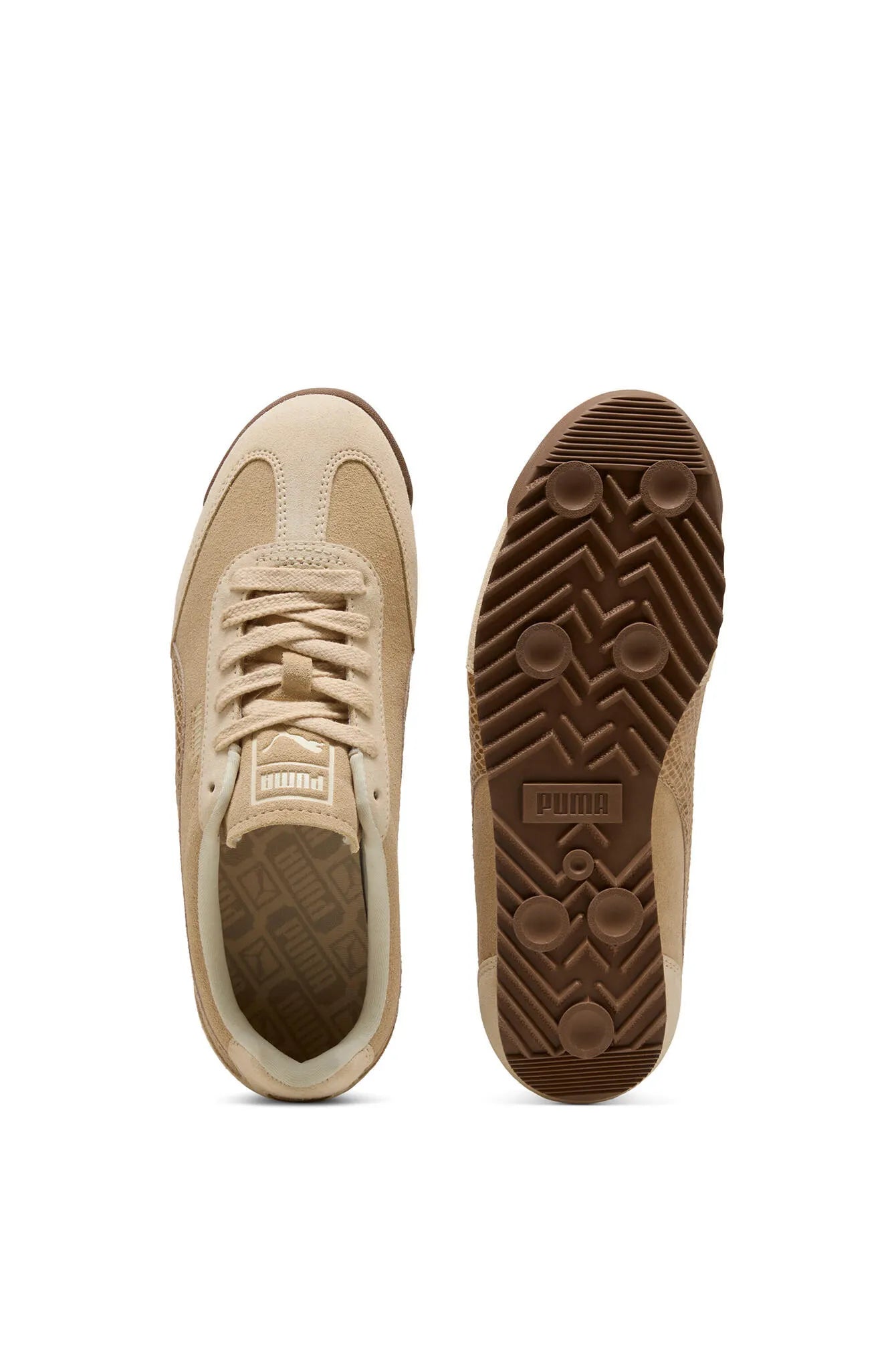 Sneaker ARIZONA SNAKE