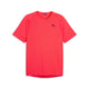 Sportshirts Herren