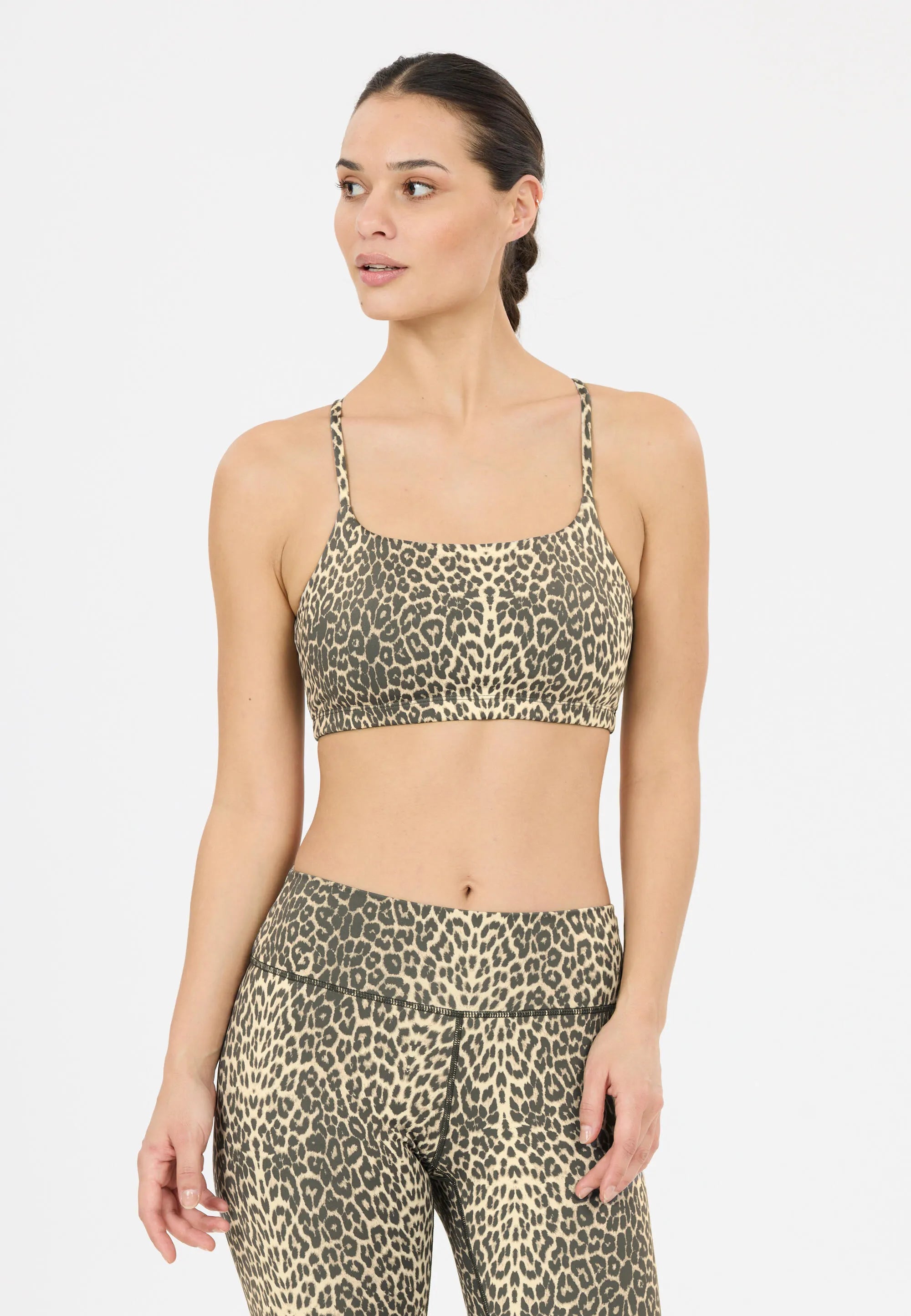 Sport-BH WINDIA V2