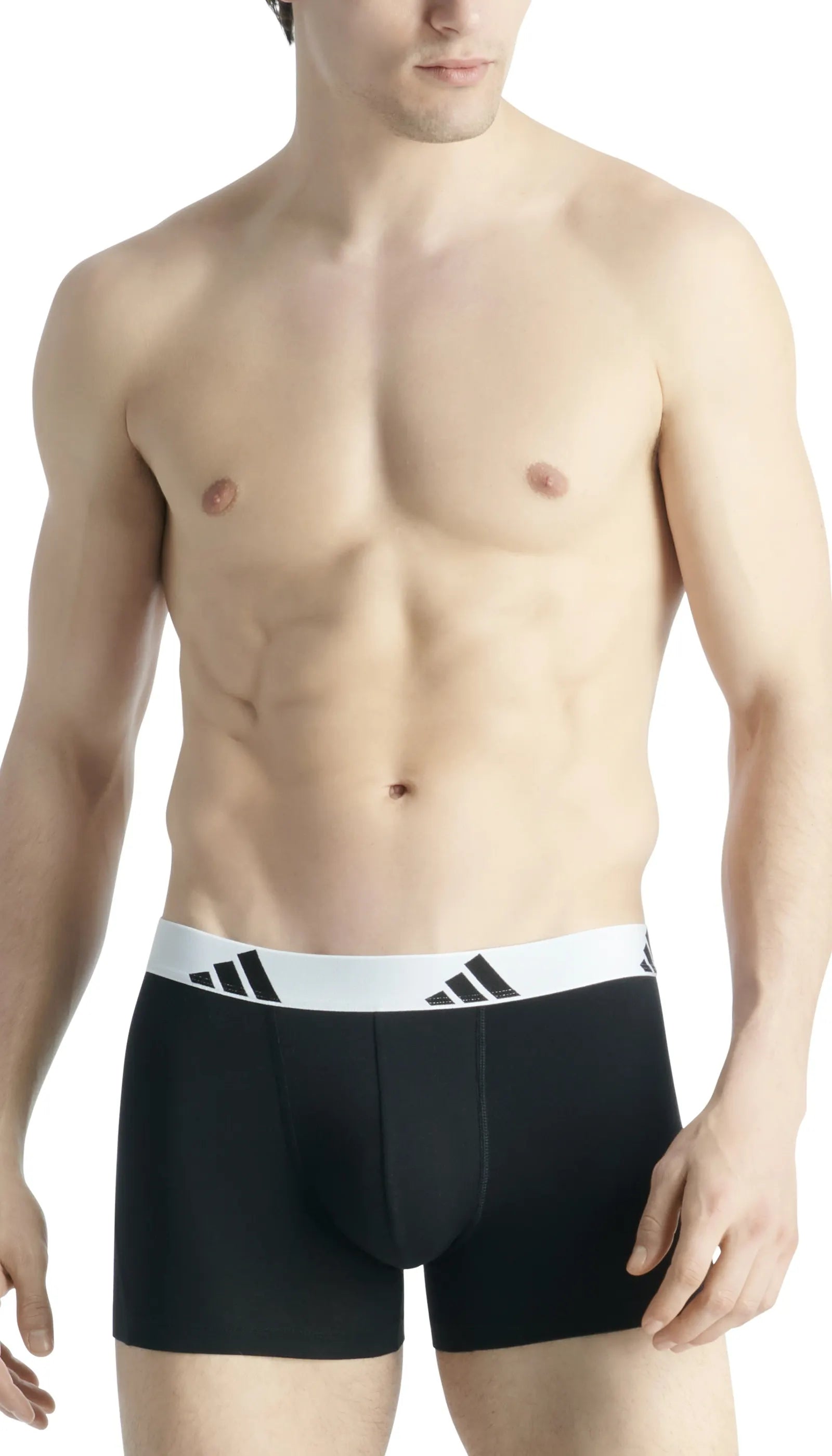 Trunks 3er-Pack aus Baumwolle