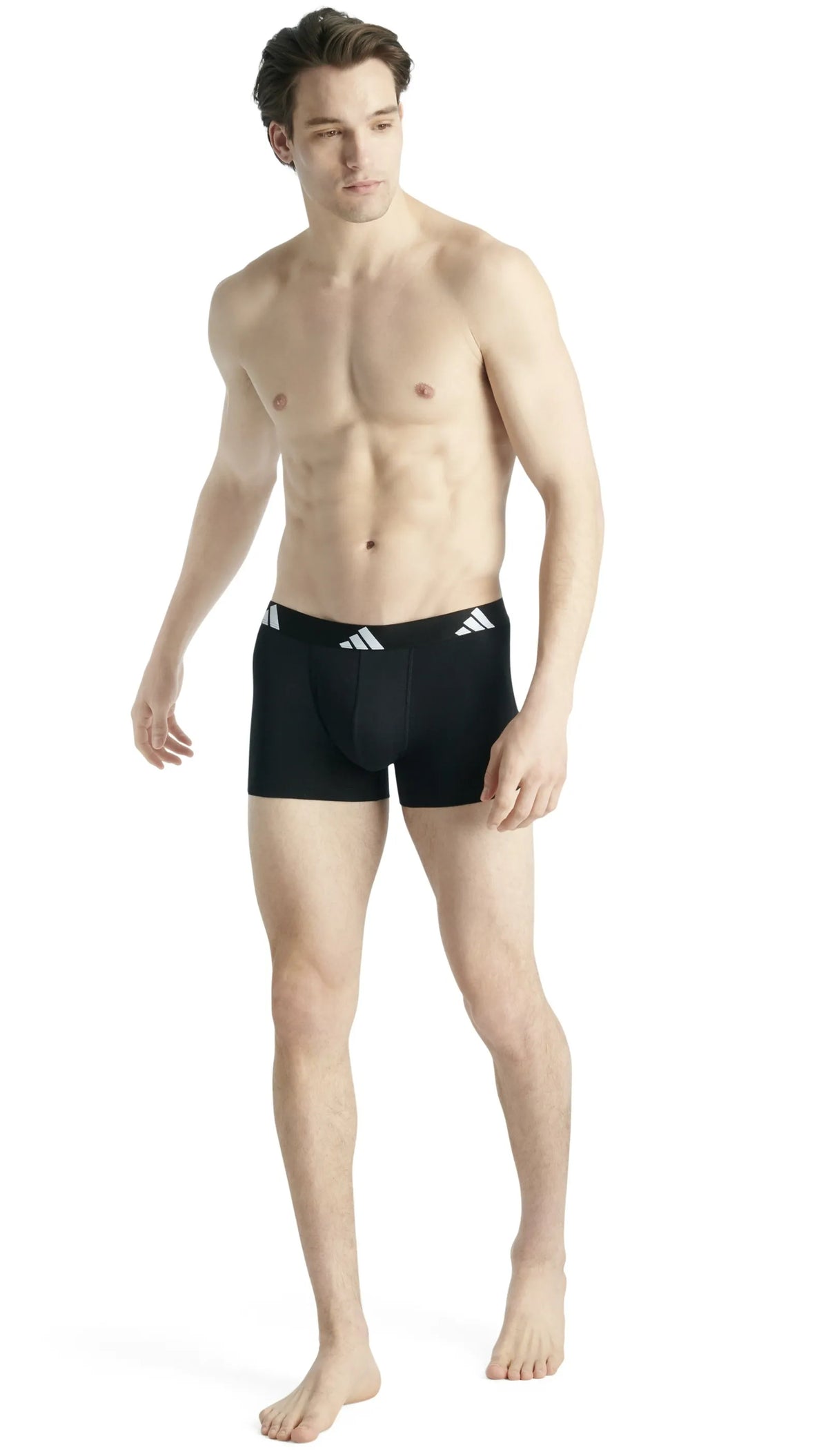 Trunks 3er-Pack aus Baumwolle