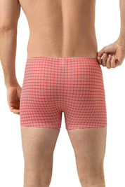 Shorty gemustert