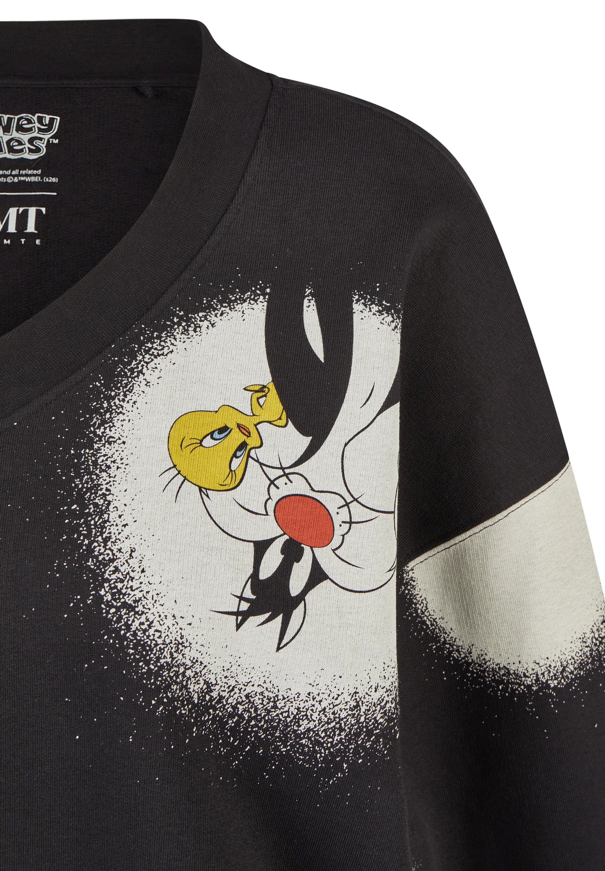Sweatshirt Looney Tunes