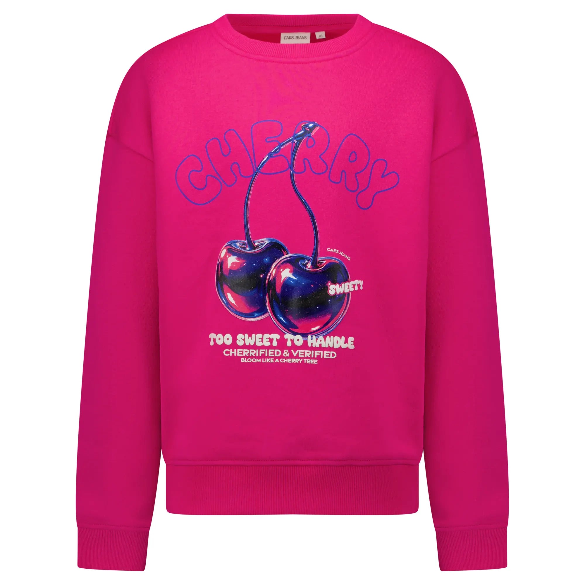 Sweatshirt ZAAR