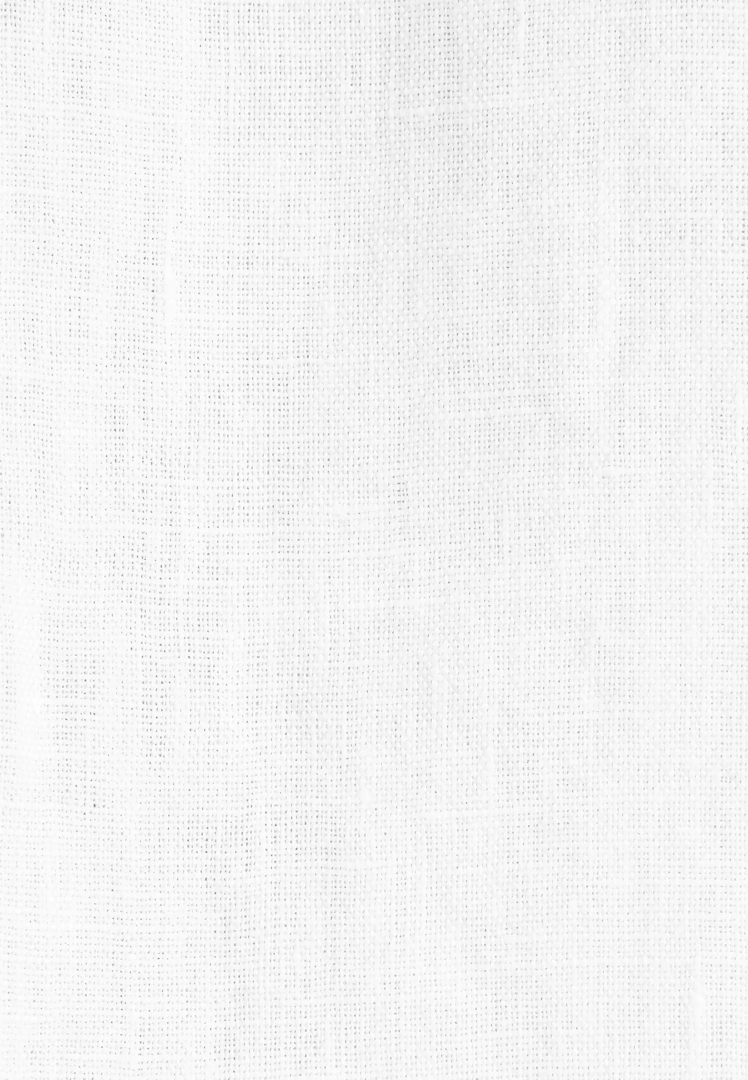 Leinenhemd Regular Fit
