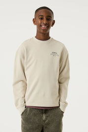 Sweatshirt aus Baumwolle