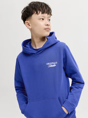 Sweathoodie aus Baumwollmix