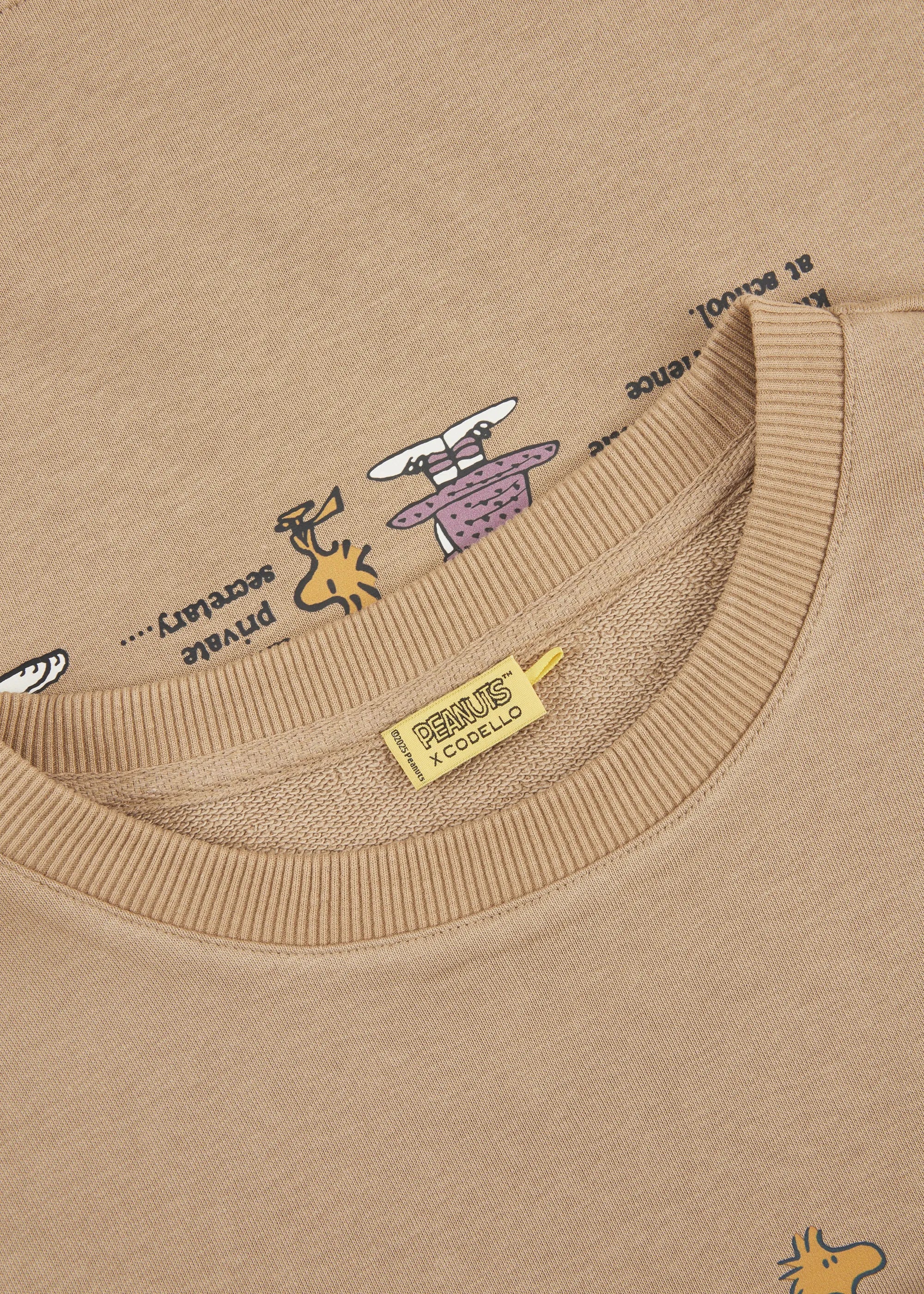 Sweatshirt mit Peanuts-Charakteren