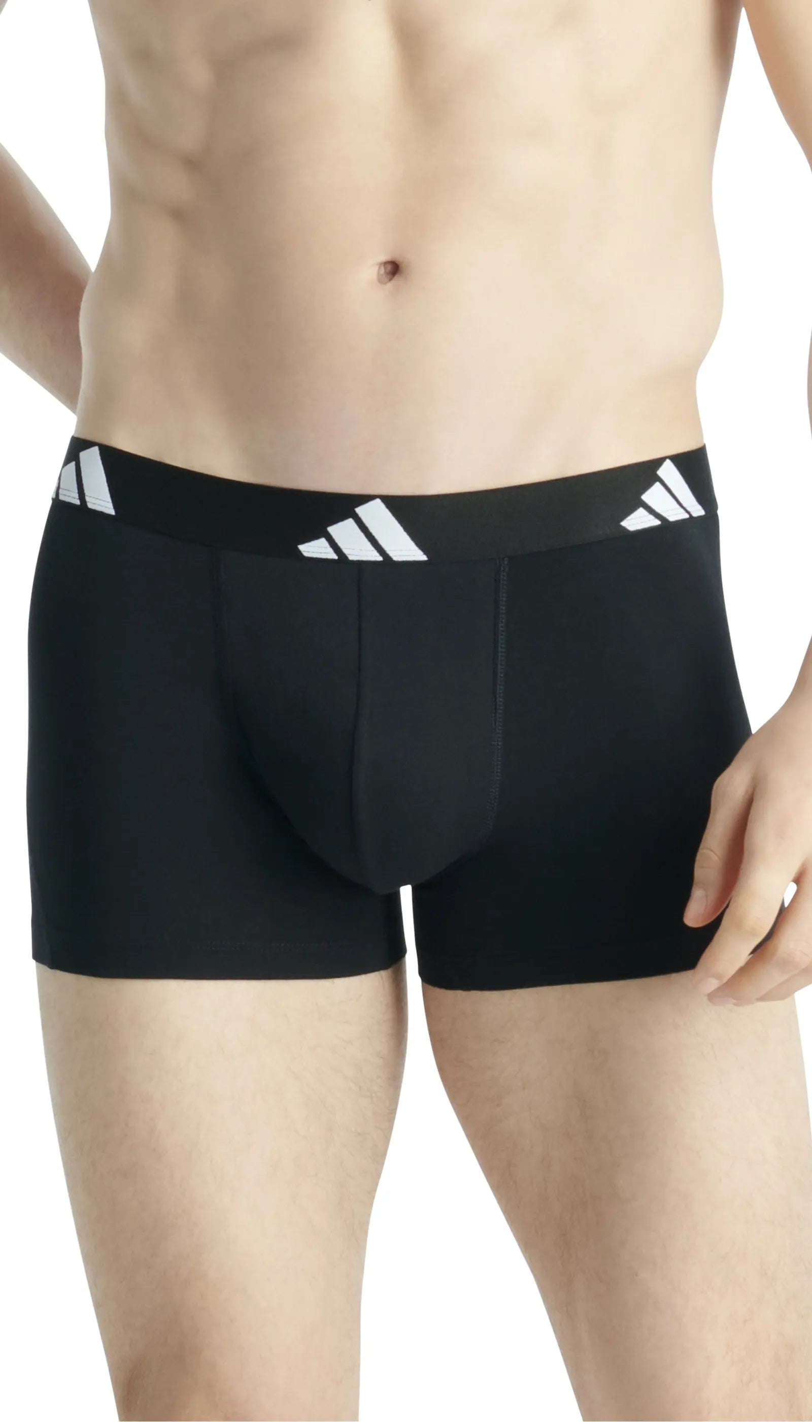 Trunks 3er-Pack aus Baumwolle