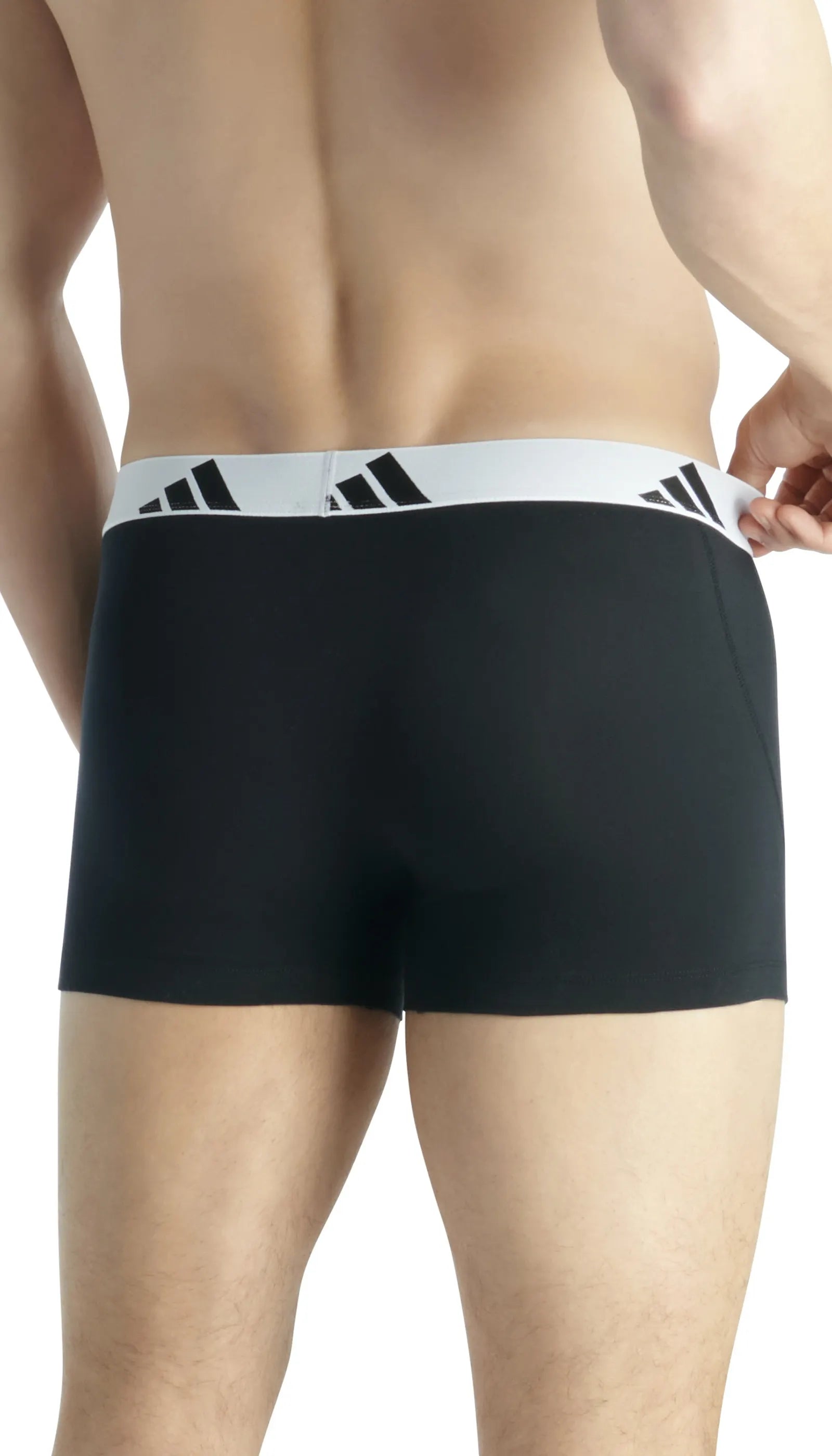 Trunks 3er-Pack aus Baumwolle