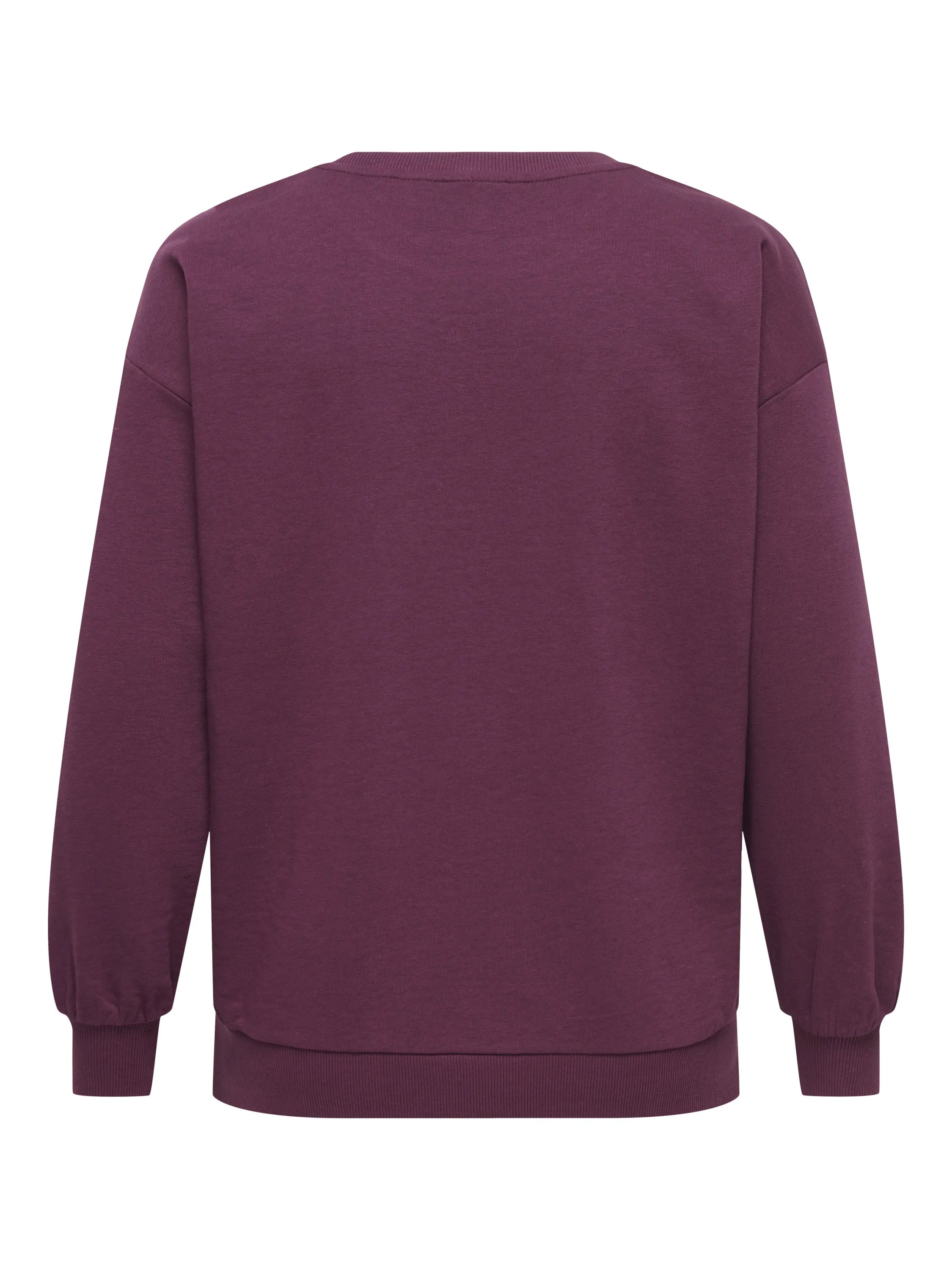 Sweatshirt CARVIOLETTA