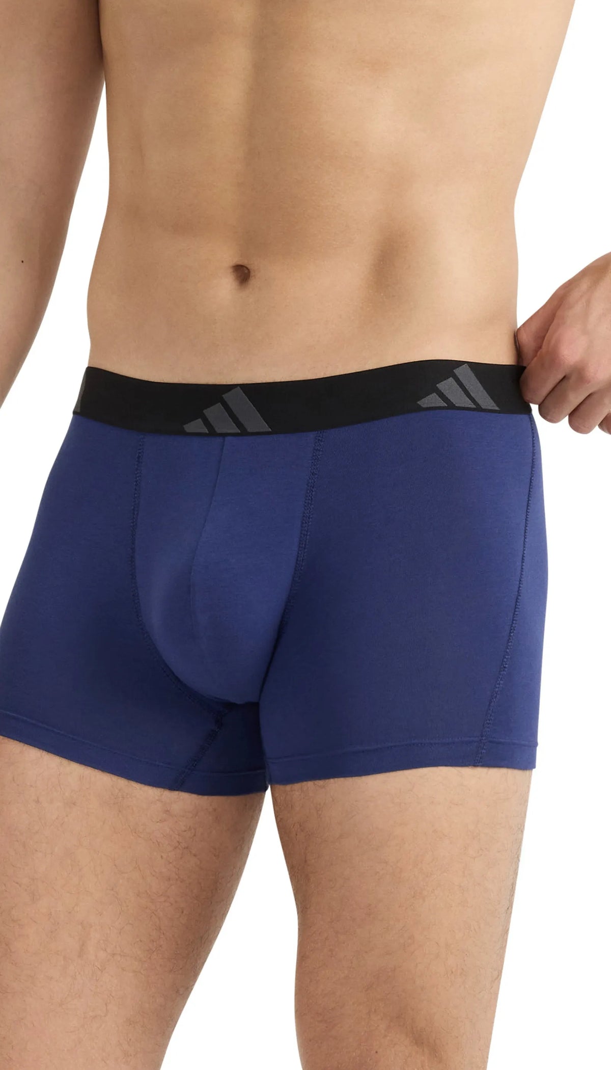 Trunks 3er-Pack aus Baumwolle