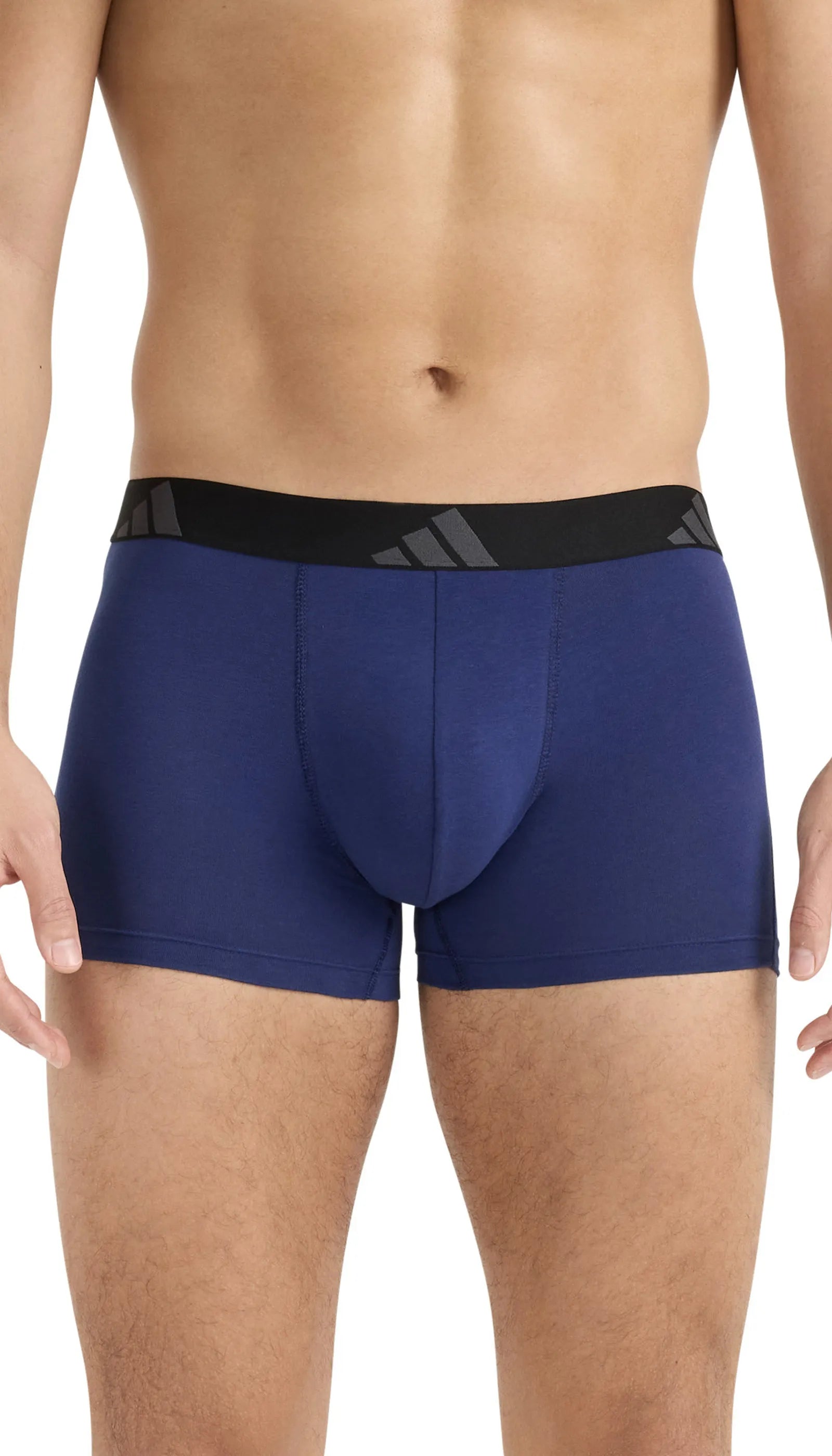 Trunks 3er-Pack aus Baumwolle