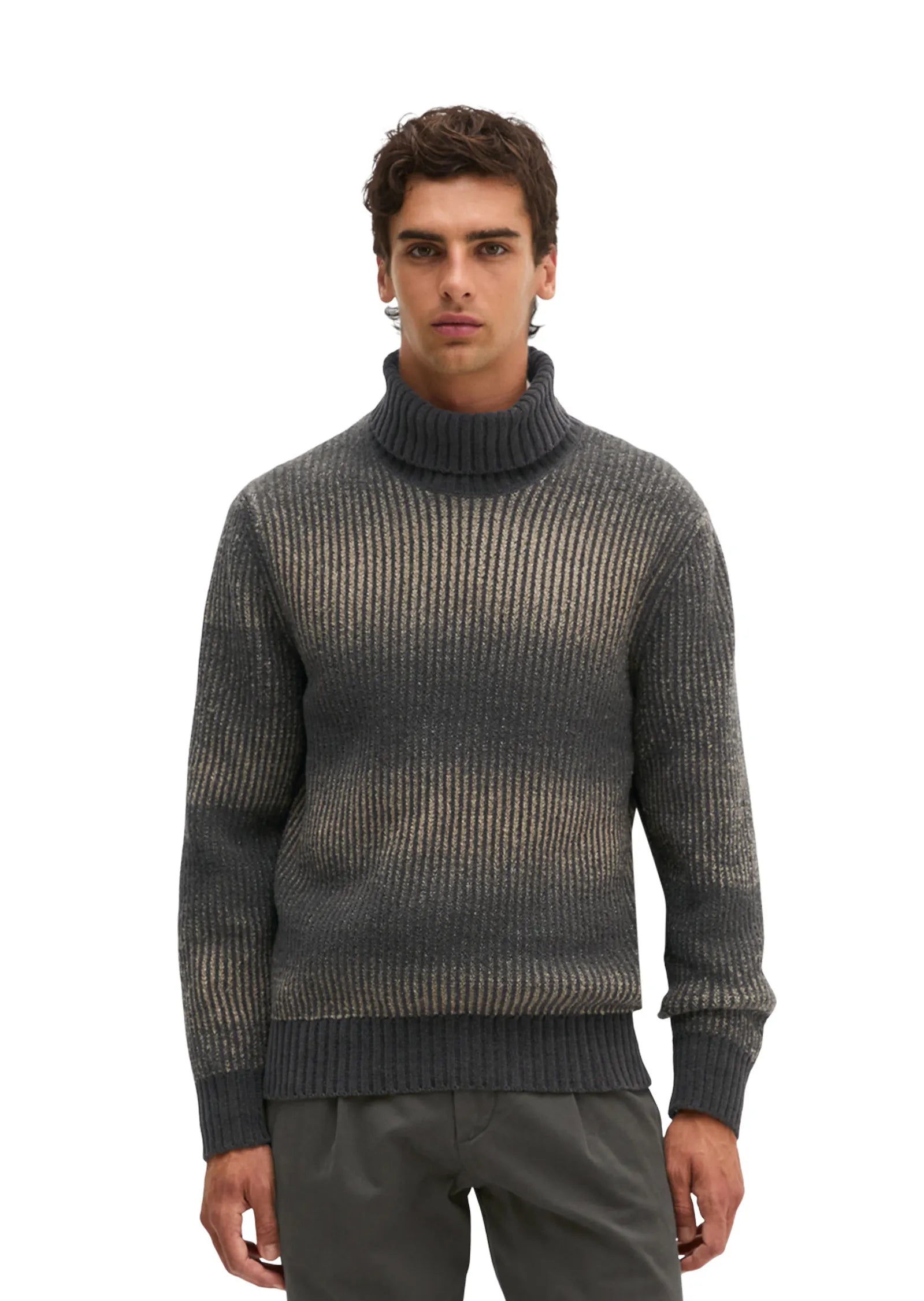 Strick-Rollkragen-Pullover Regular Fit