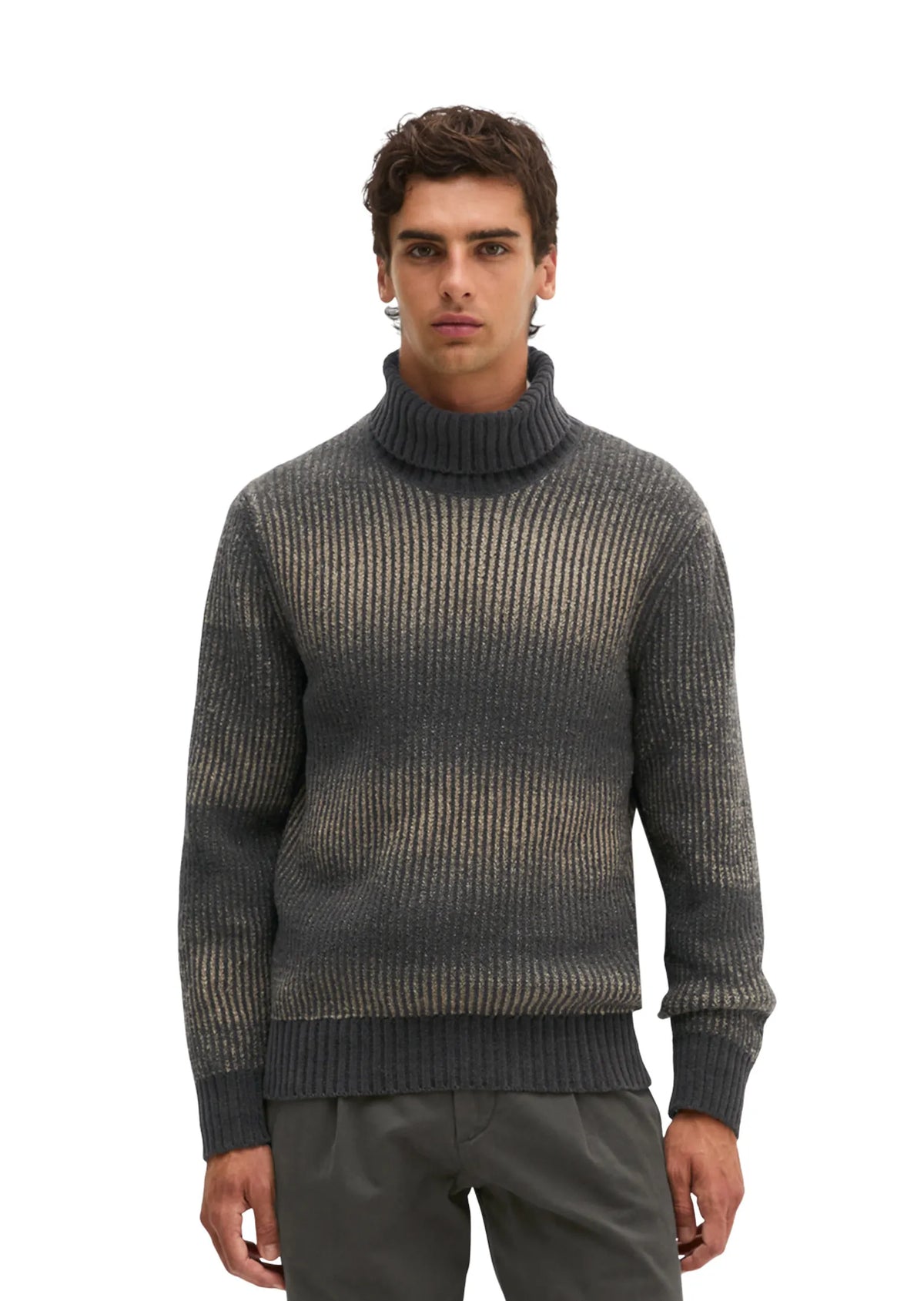 Strick-Rollkragen-Pullover Regular Fit
