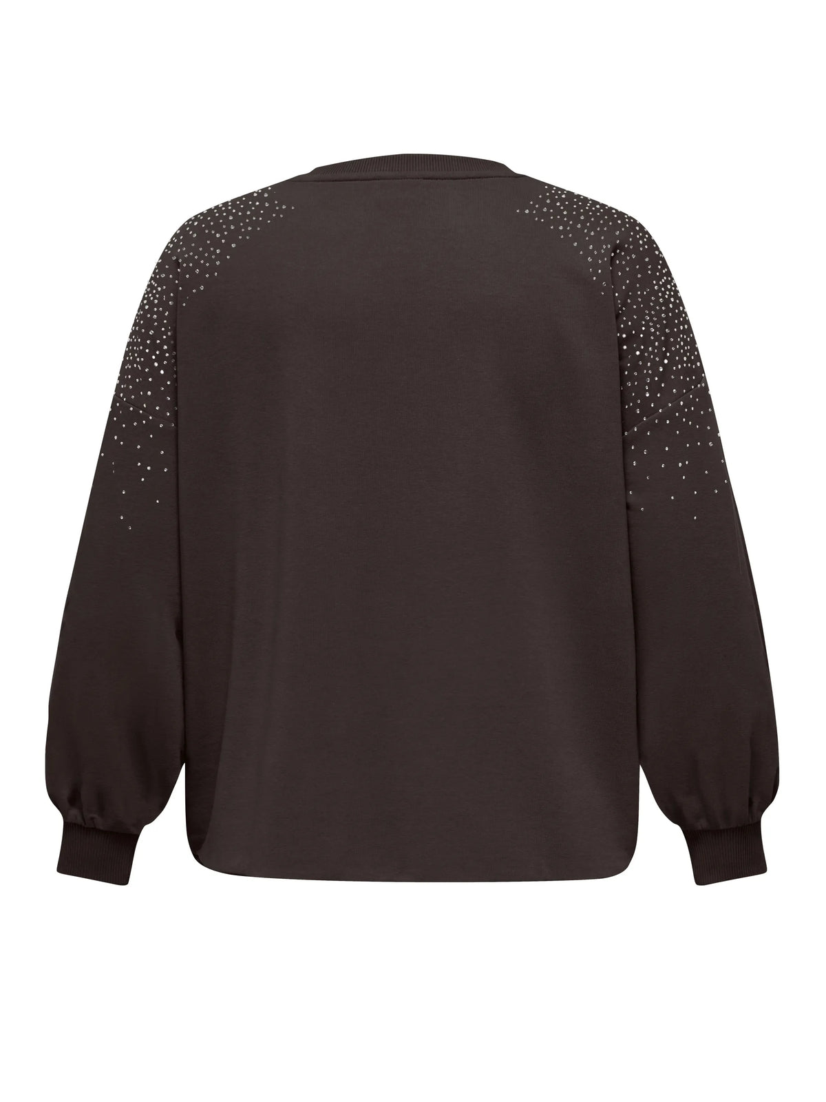 Sweatshirt CARVIOLETTA