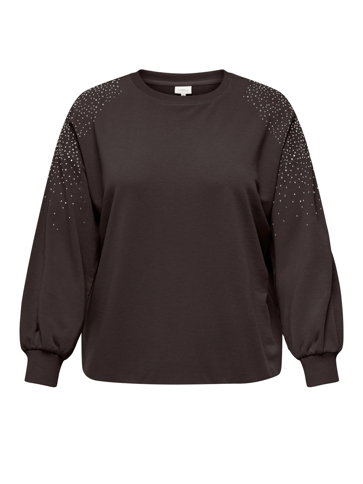 Sweatshirt CARVIOLETTA