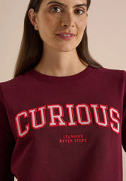 Sweatshirt mit Stickerei