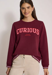 Sweatshirt mit Stickerei