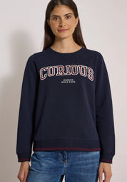 Sweatshirt mit Stickerei