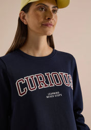 Sweatshirt mit Stickerei