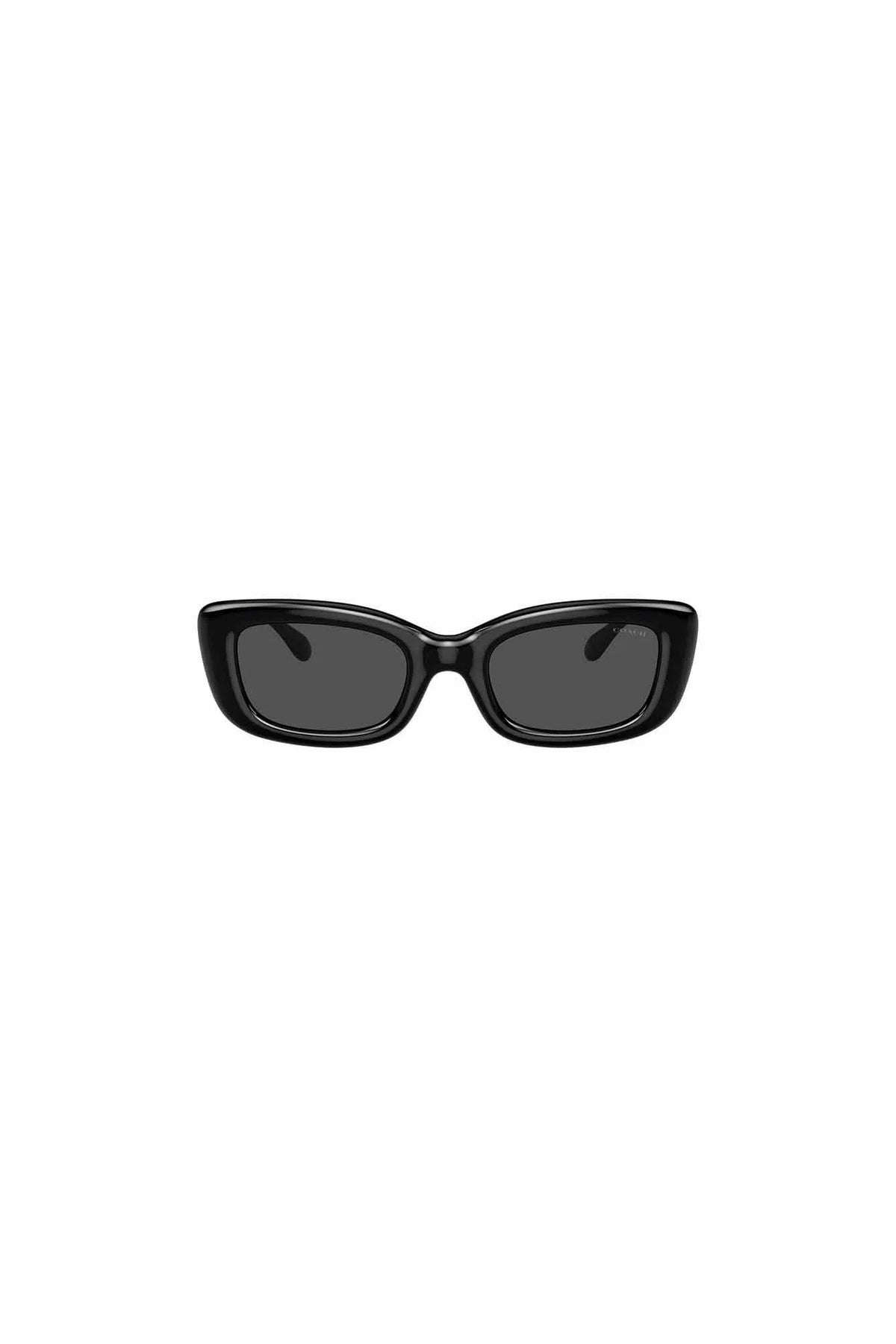 Sonnenbrille 0HC8390U 500287