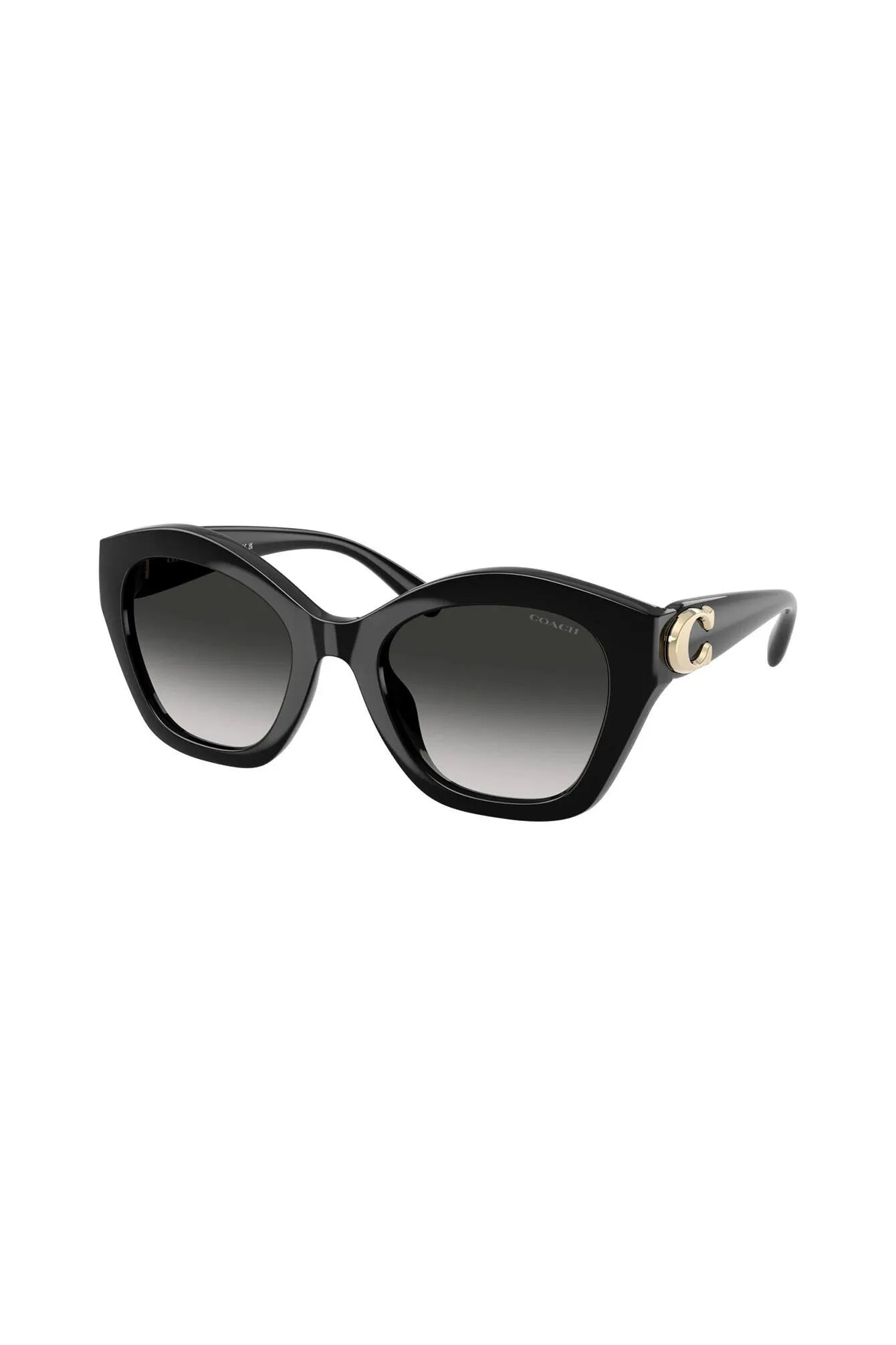Sonnenbrille HC8421U 50023C