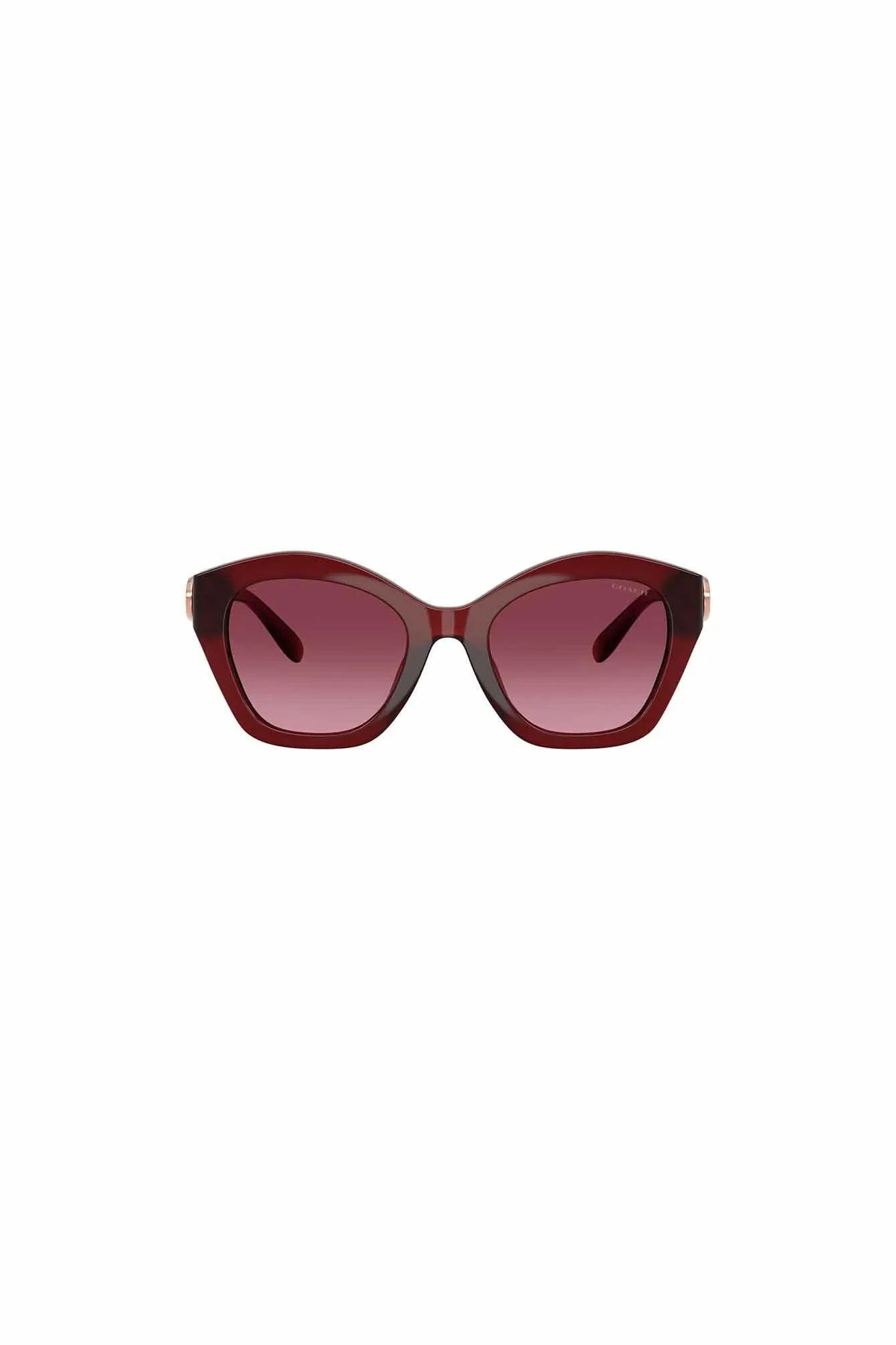 Sonnenbrille CAD31 0HC8421U 58708H