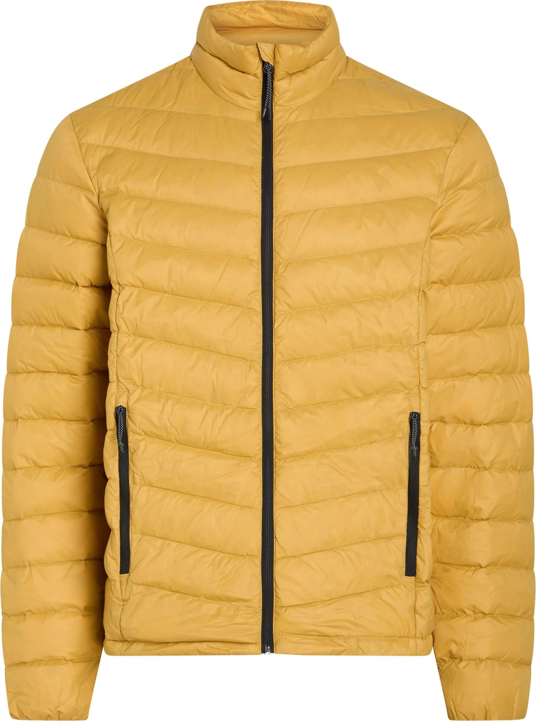 Daunenjacke ARLO mit Stehkragen
