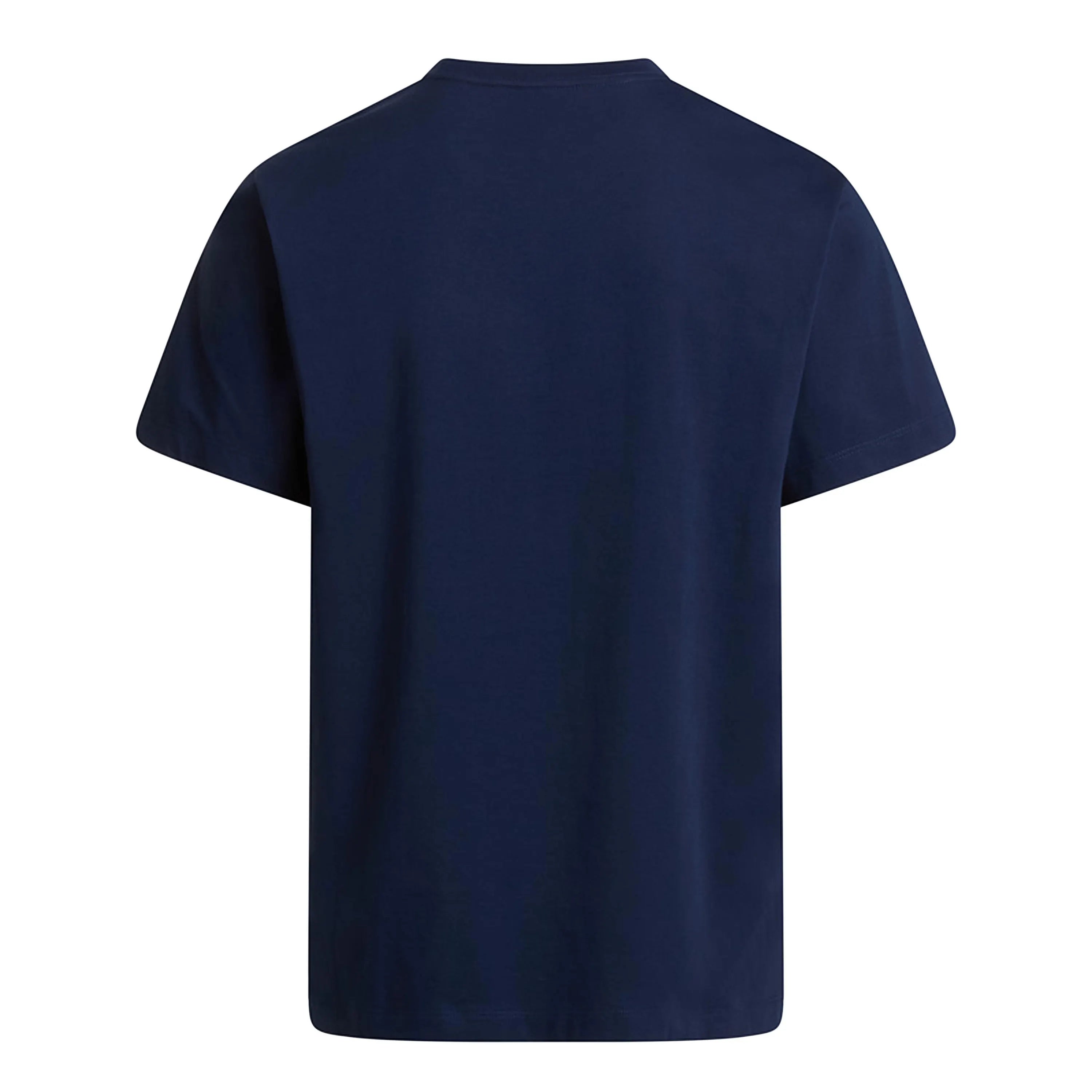 T-Shirt EVOLUTION aus Baumwolle