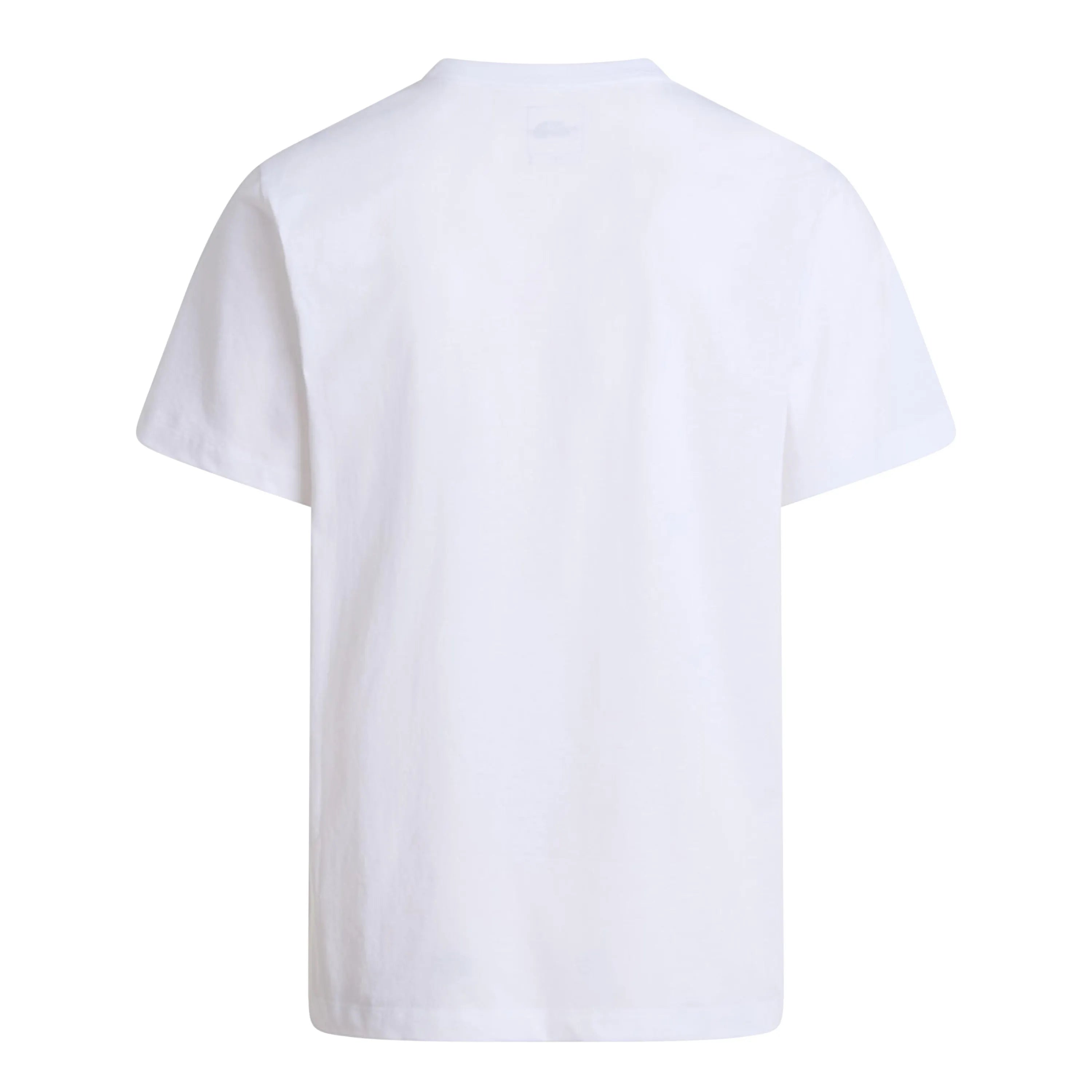 T-Shirt EVOLUTION aus Baumwolle