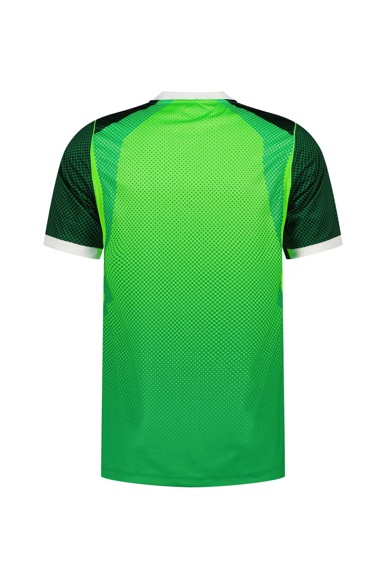 Heimtrikot NIGERIA 26