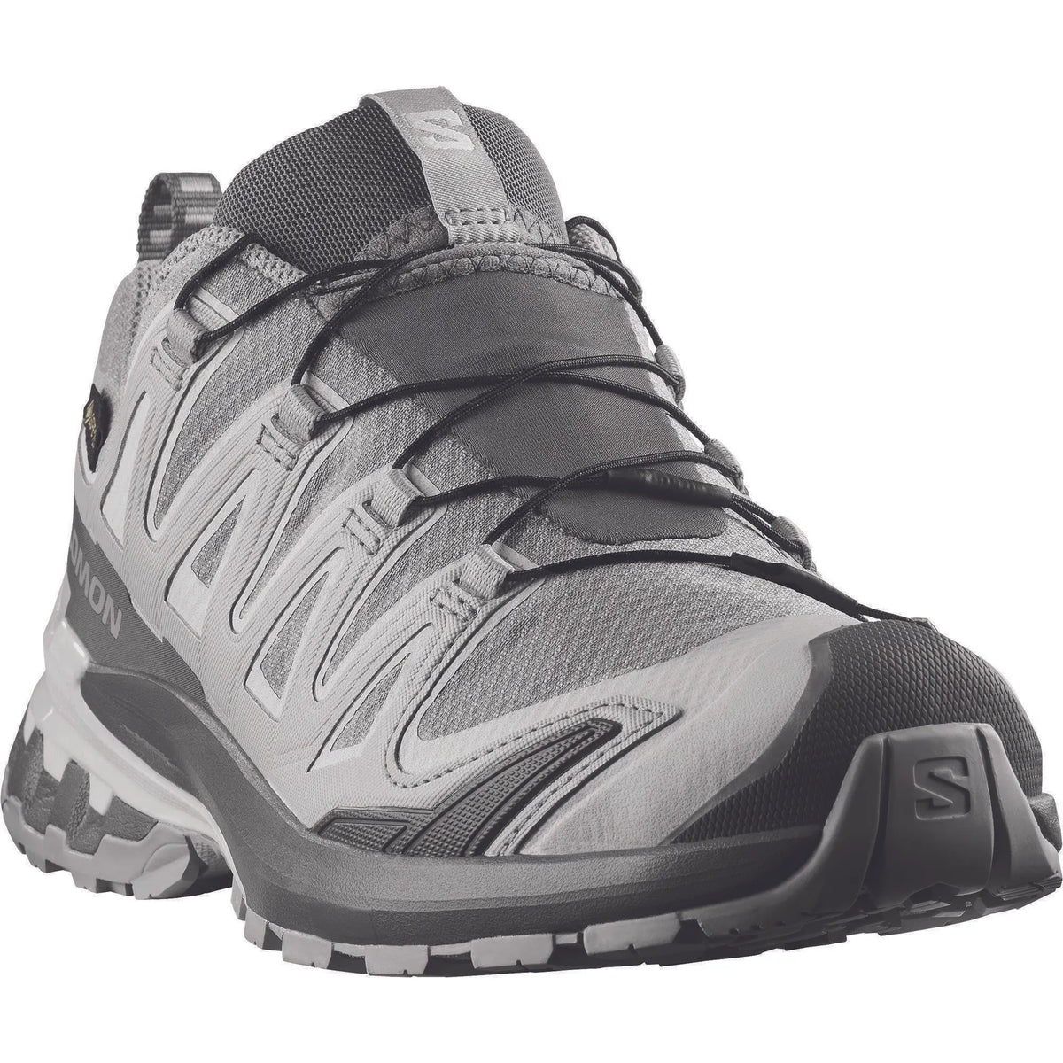 Trainrunning Schuh XA PRO 3D V9 GTX