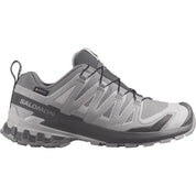 Trainrunning Schuh XA PRO 3D V9 GTX