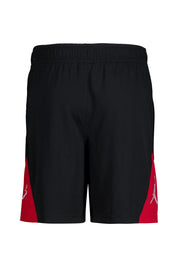 Shorts DRI-FIT Regular Fit