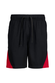 Shorts DRI-FIT Regular Fit