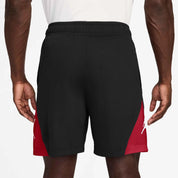 Shorts DRI-FIT Regular Fit