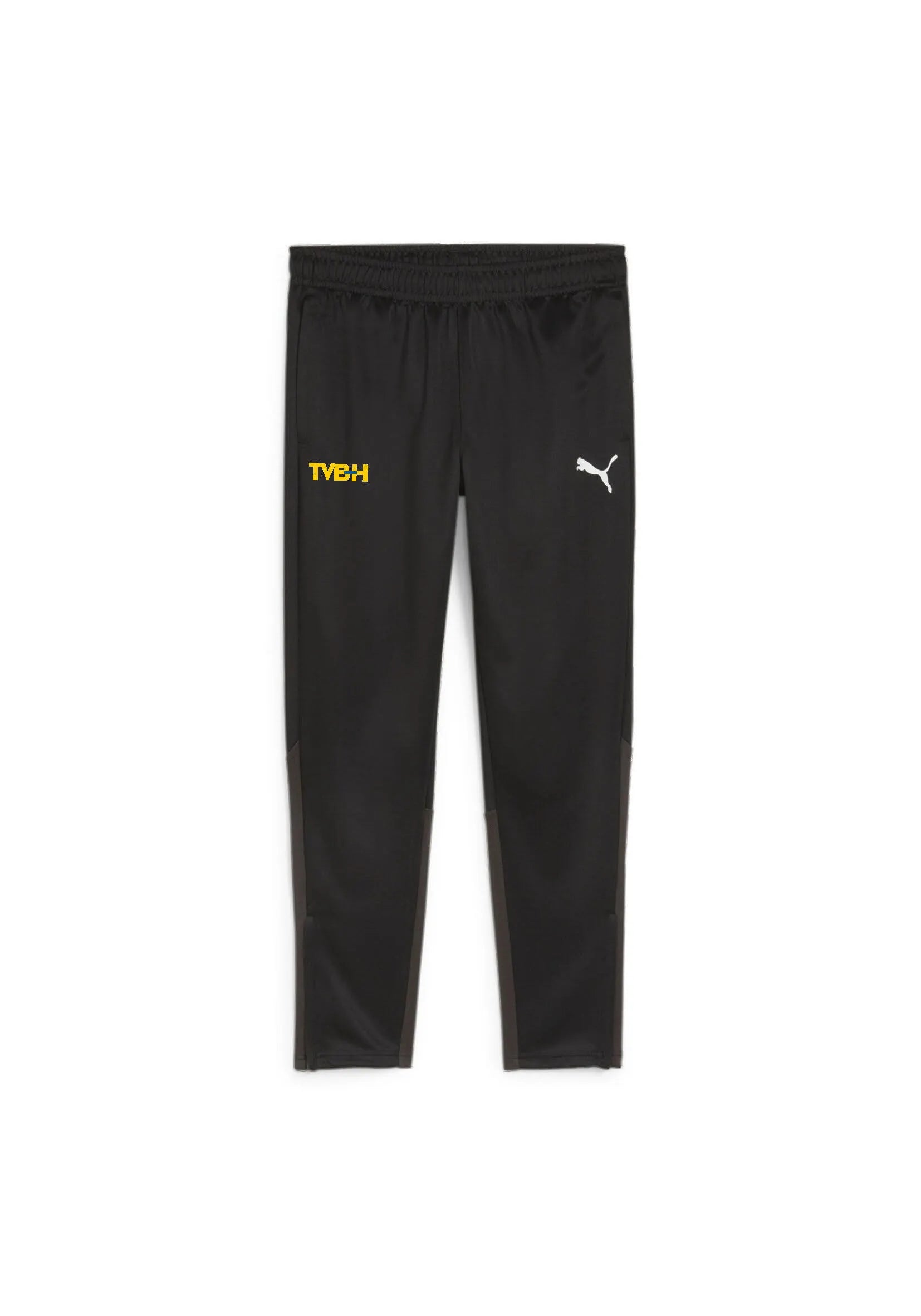 Herren TV Bissendorf-Holte Training Pants