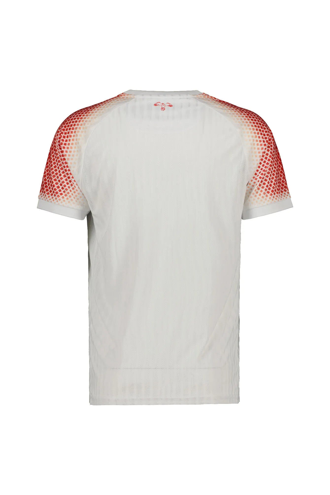 Heimtrikot JORDANIEN 26